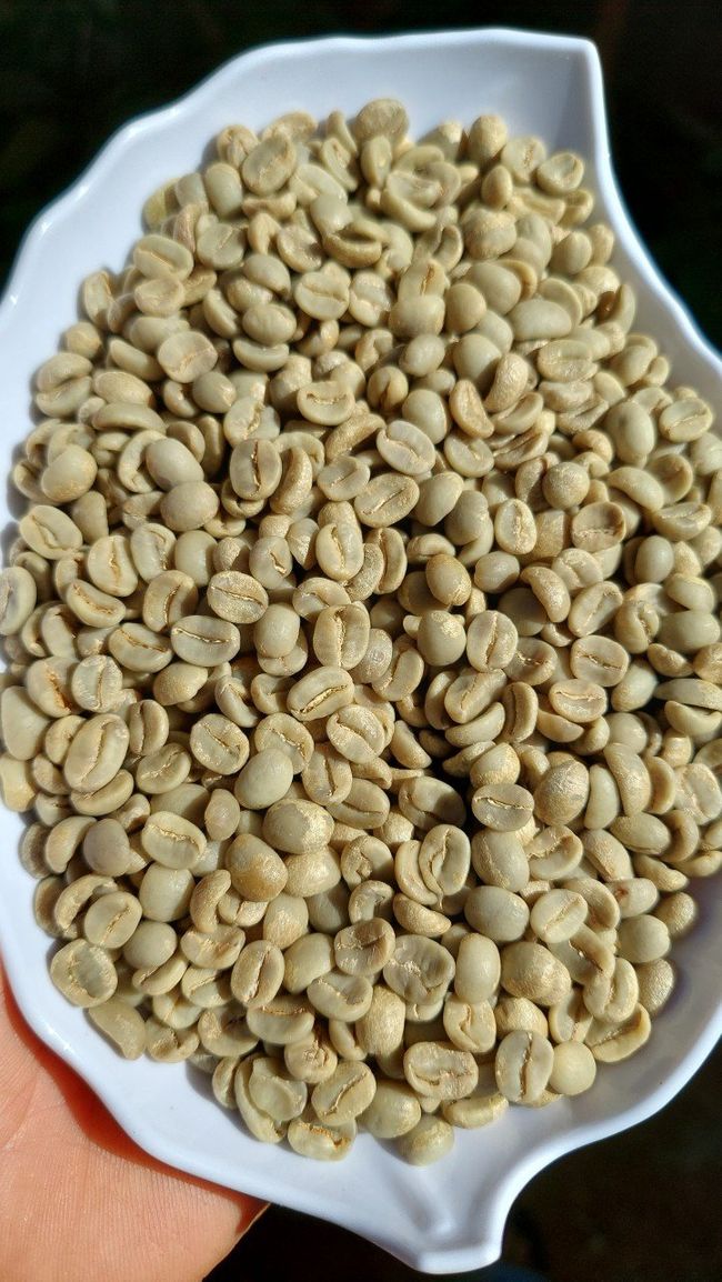Arabica Honey