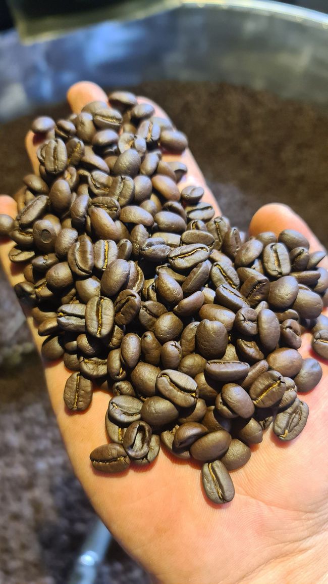 Robusta Honey