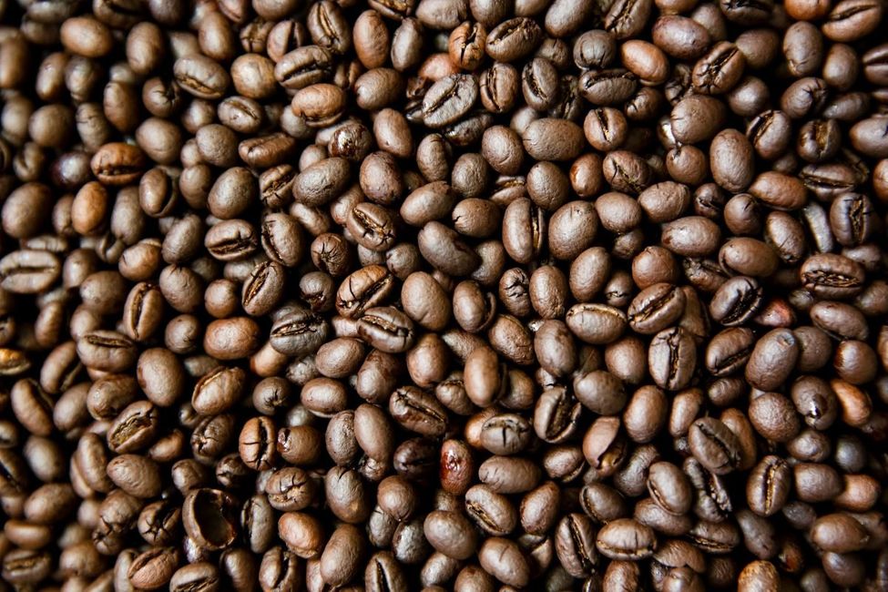 Arabica Cầu Đất